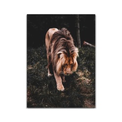 Tablou Canvas Regele Junglei - Img 3