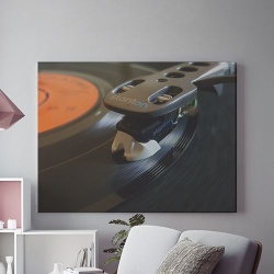 Tablou Canvas Vinyl Close-up - Img 1
