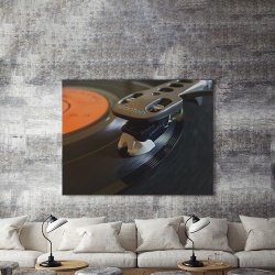 Tablou Canvas Vinyl Close-up - Img 3