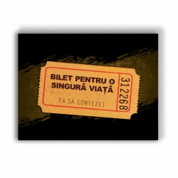 Tablou Motivational - Bilet Pentru O Viata - Img 4