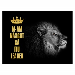 Tablou Motivational - M-am Nascut Sa Fiu Leader - Img 4