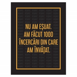 Tablou Motivational - Nu Am Esuat - Img 4