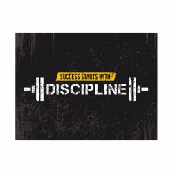 Tablou Motivational - Success starts with discipline - Img 4