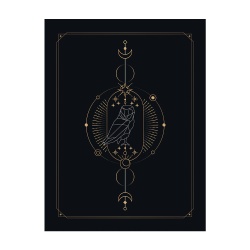 Tablou Tarot owl - Img 2