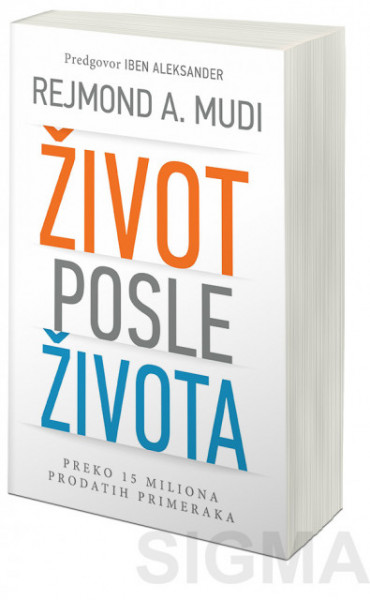 Život posle života - Rejmond A. Mudi