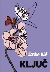 Ključ - Žarko Ilić