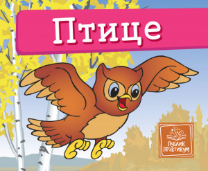 Ptice - Mala kartonska slikovnica - Jasna Ignjatović