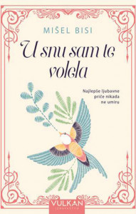 U snu sam te volela - Mišel Bisi