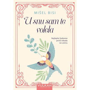 U snu sam te volela - Mišel Bisi