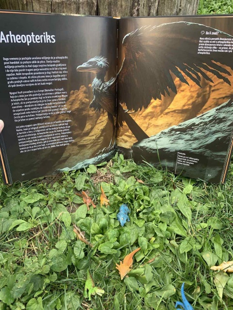 Dinosaurusi - Vladari Izgubljenog Sveta - Luksuzna Enciklopedija - Img 7