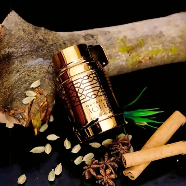 Armaf ODYSSEY AOUD EDITION EDP 100ml - Img 8