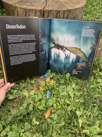 Dinosaurusi - Vladari Izgubljenog Sveta - Luksuzna Enciklopedija - Img 8