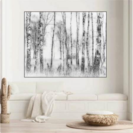 Crno bela suma, uramljena slika 40x50cm - Img 2