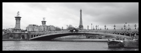 Eiffel Tower & Pont Alexandre, framed picture
