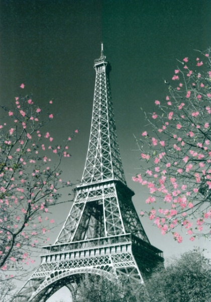 Eiffel tower, framed picture