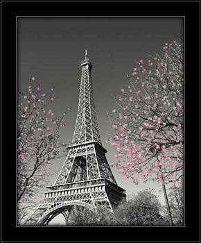 Eiffel tower, framed picture