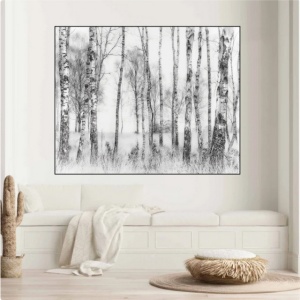 Crno bela suma, uramljena slika 40x50cm - Img 2