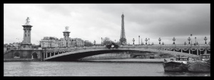 Eiffel Tower & Pont Alexandre, framed picture