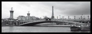 Eiffel Tower & Pont Alexandre, framed picture