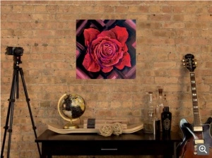 Rosa, uramljena slika 50x50cm - Img 2