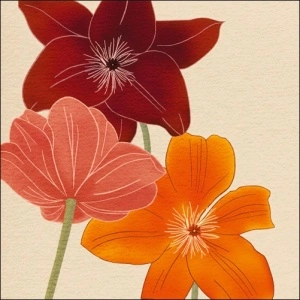 Colorful flowers, framed picture