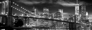 New York freedom tower
