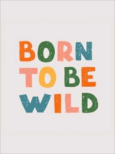 Born to be wild, uramljena slika 40x50cm , 50x70cm i 60x80cm
