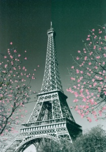 Eiffel tower, framed picture