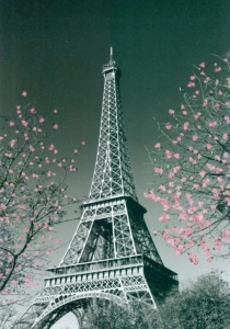 Eiffel tower, framed picture