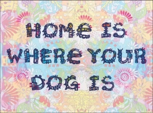 Home is were your dog is, uramljena slika 30x40cm i 40x50cm