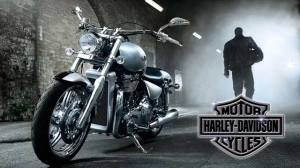 Motor Harley&Davidson, uramljena slika 50x100cm