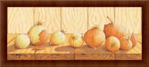 Onion, framed picture