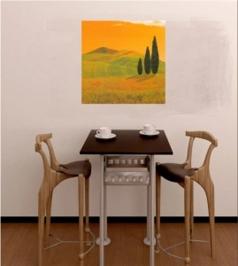 Proplanak, uramljena slika 50x50cm - Img 2