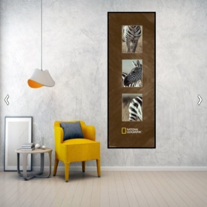Burchell's zebra, uramljena slika 35x100cm - Img 2