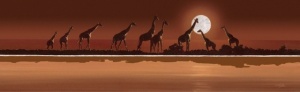 Giraffes and the Sun