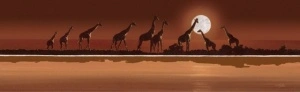 Giraffes and the Sun