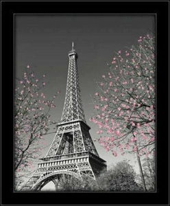 Eiffel tower, framed picture
