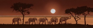 Elephants and the Sun