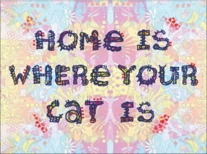 Home is were your cat is, uramljena slika 30x40cm i 40x50cm