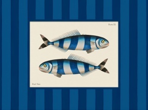 Sardine, uramljena slika 40x50cm , 50x70cm i 60x80cm
