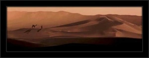 Desert sand, framed picture