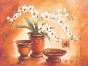 Gabriella, uramljena slika 50x70cm