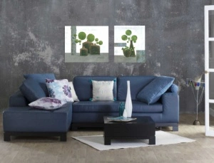 Green bubbles, dve uramljene slike 50x60cm svaka - Img 2