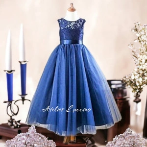 Dark blue lace and tulle dress