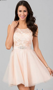 Rose dress with lace, tulle and satin