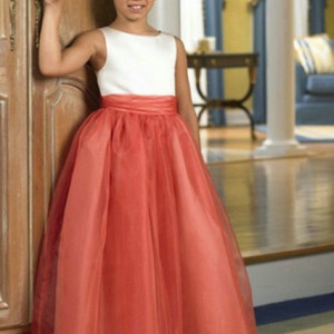 Two colors dress with tulle