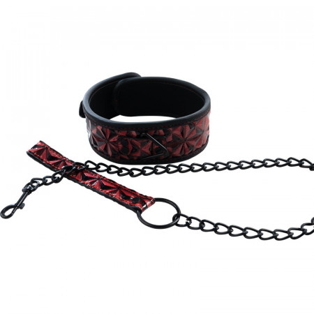 Crveni povodac | Red Collar and Leash