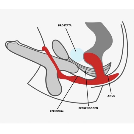 Masažer Prostate | Fun Factory BOOTIE RING