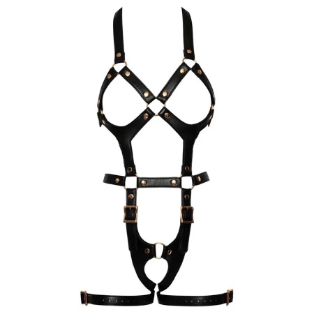 Seksi harness | Harness