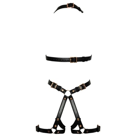 Seksi harness | Harness